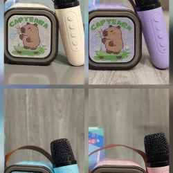 Bocina con micrófono