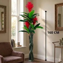 Bromelia
