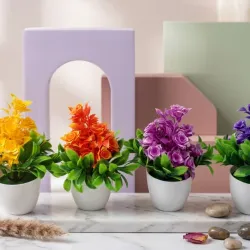 Flores 2300