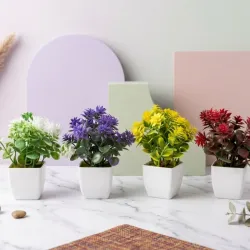 Flores 2600