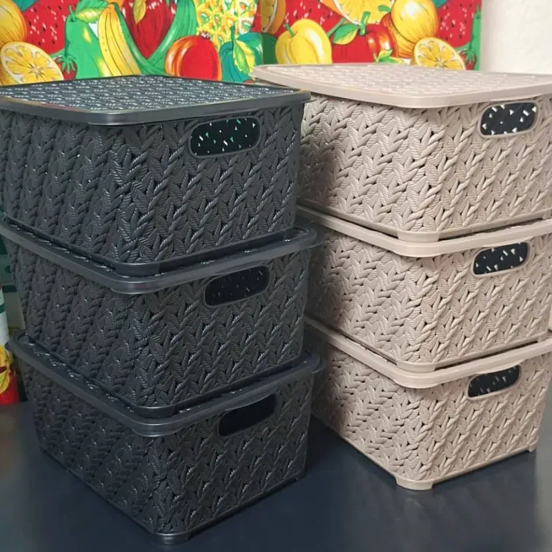 Organizador con tapas 