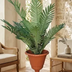 Maceta con palmera pequeña 