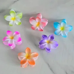 Pinza de pelo