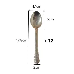 Set de 12 cucharas 
