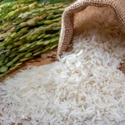 Arroz