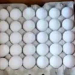 Huevos blancos