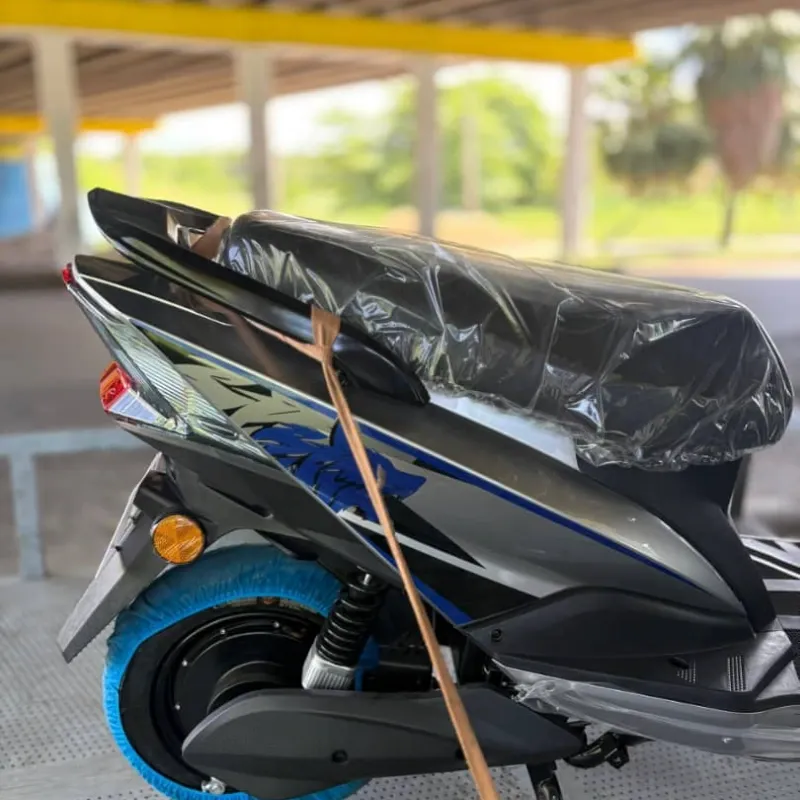 MOTO ELÉCTRICA PANDA CITY
