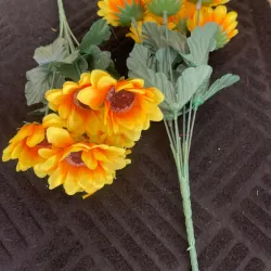 Espiga de girasol