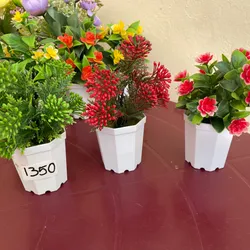 Macetas con flores 