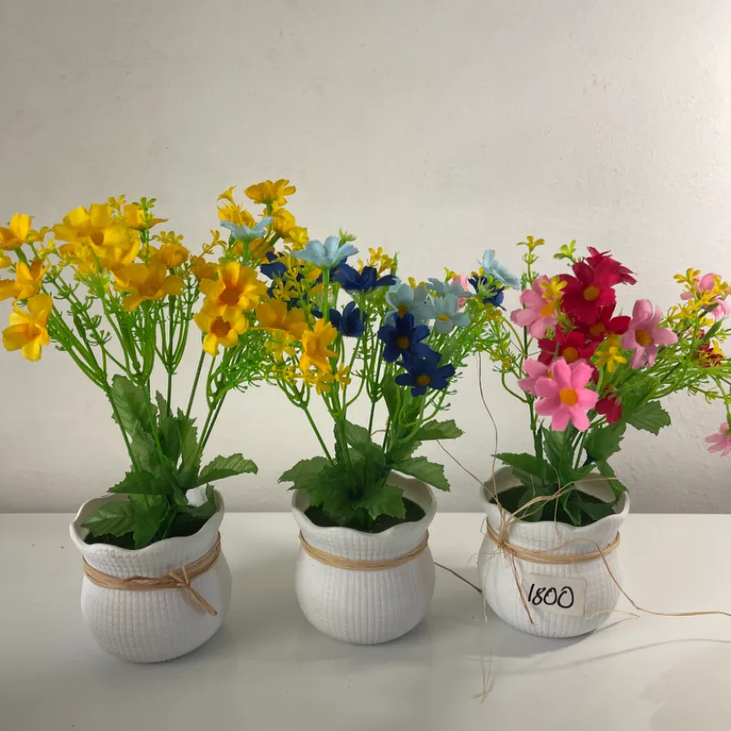 Macetas con flores 