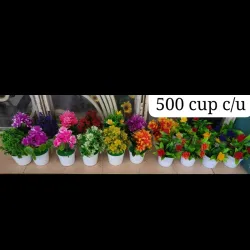 Macetas pequeñas con flores 