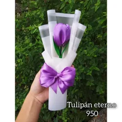 Tulipán 🌷 Eterno
