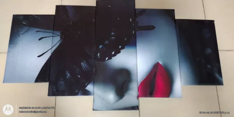 Cuadro con Rostro de Mujer 