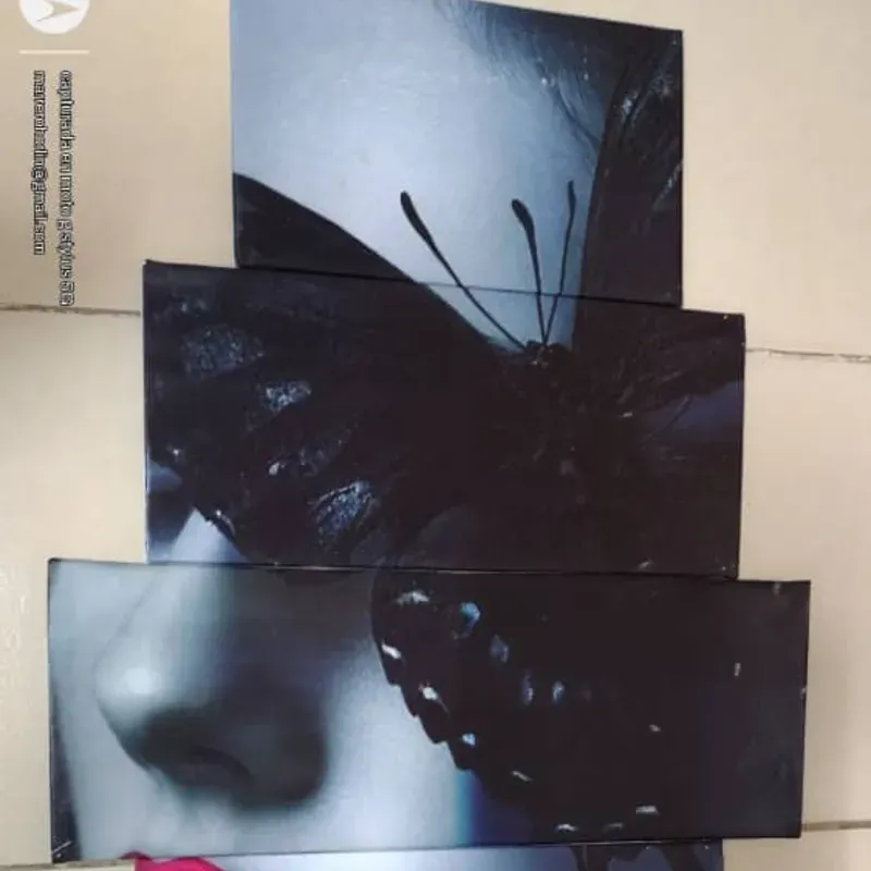 Cuadro con Rostro de Mujer 