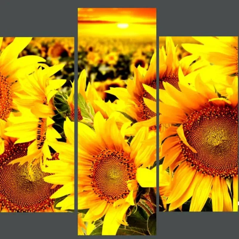 Cuadro de Girasoles 
