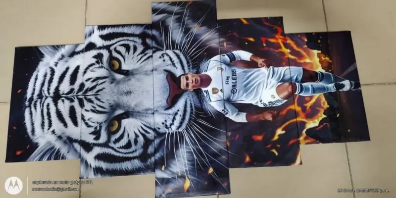 Cuadro de Ronaldo 