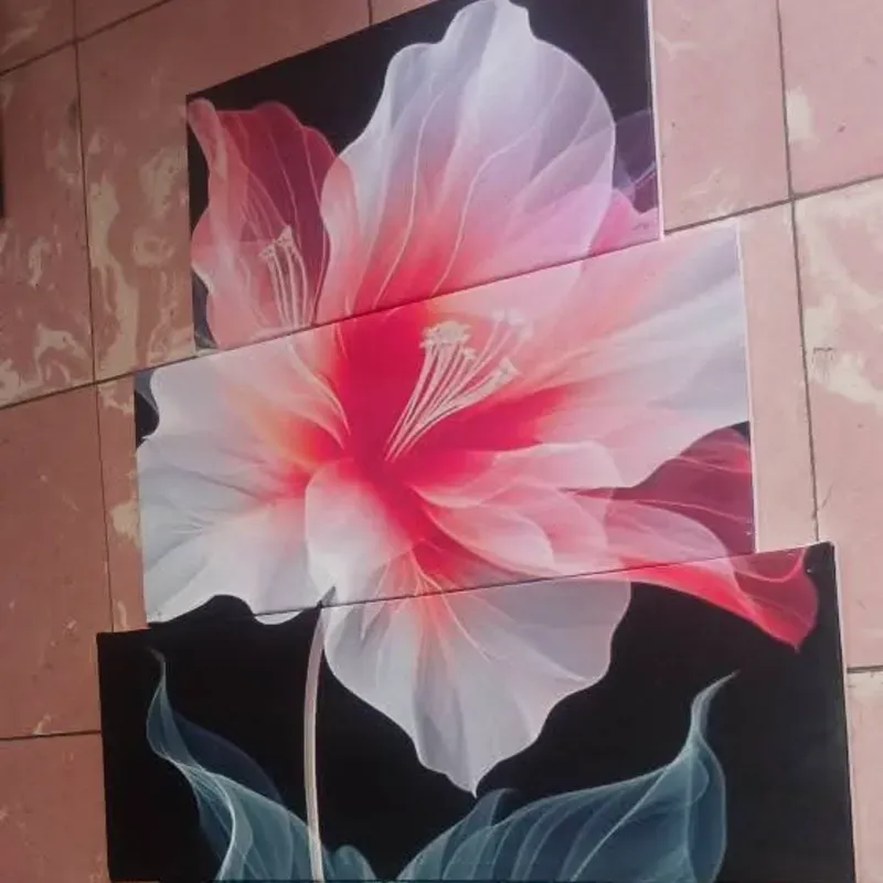 CUADRO IMPRESO EN LIENZO 