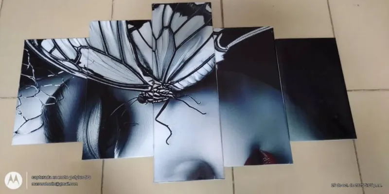 Cuadro Vertical con rostro de mujer 