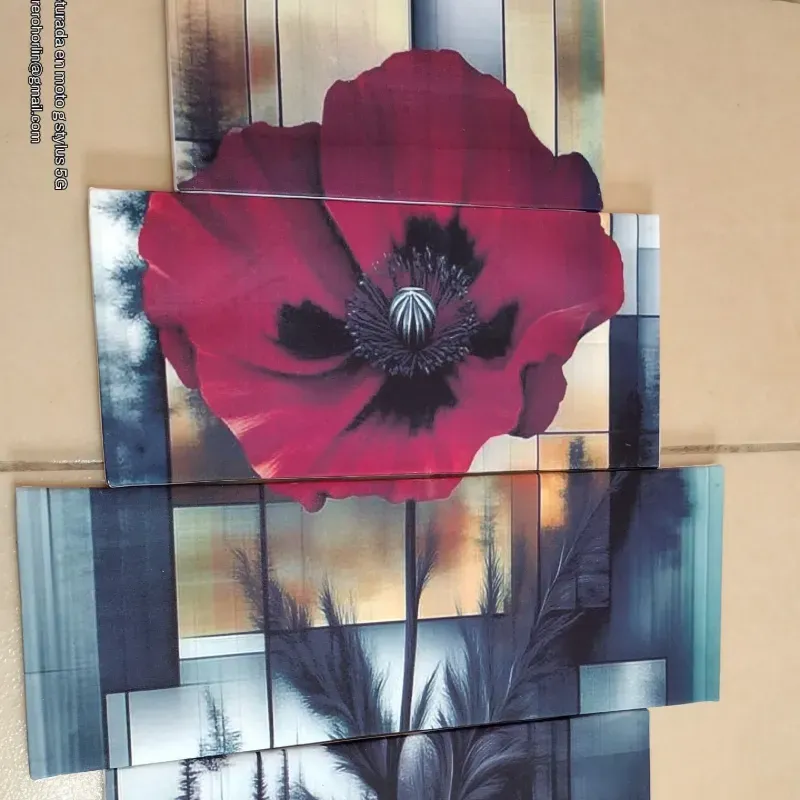 Cuadros impresos en LIENZO 