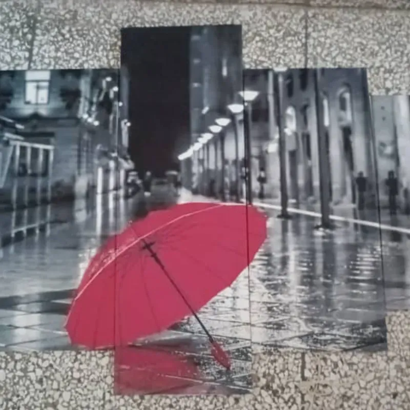 Cuadros impresos en LIENZO 