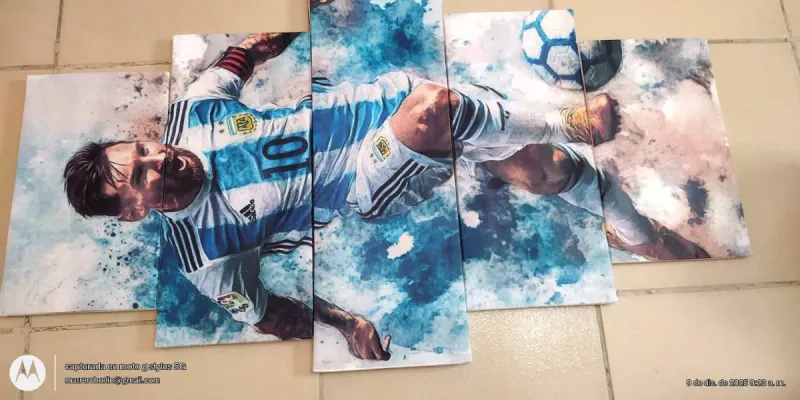 Cuadros impresos en LIENZO 