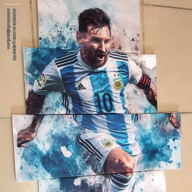 Cuadros impresos en LIENZO 