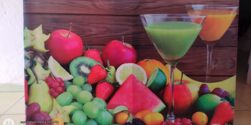 CUADROS IMPRESOS EN LONA 