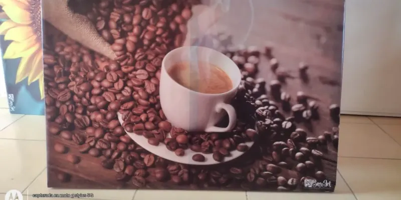 CUADROS IMPRESOS EN LONA 