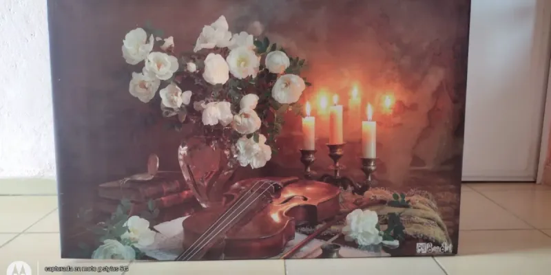 CUADROS IMPRESOS EN LONA 