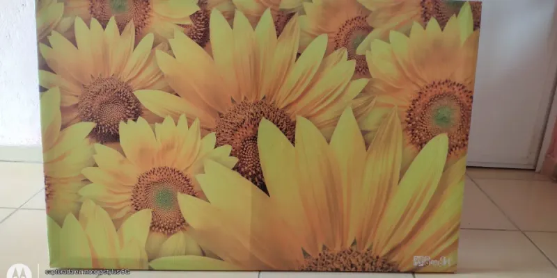 CUADROS IMPRESOS EN LONA 