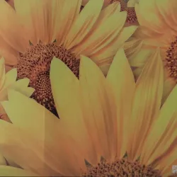 CUADROS IMPRESOS EN LONA 