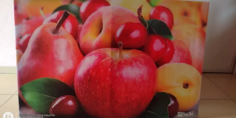 CUADROS IMPRESOS EN LONA 