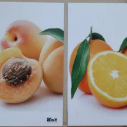 DÚOS DE CUADROS DECORATIVOS 