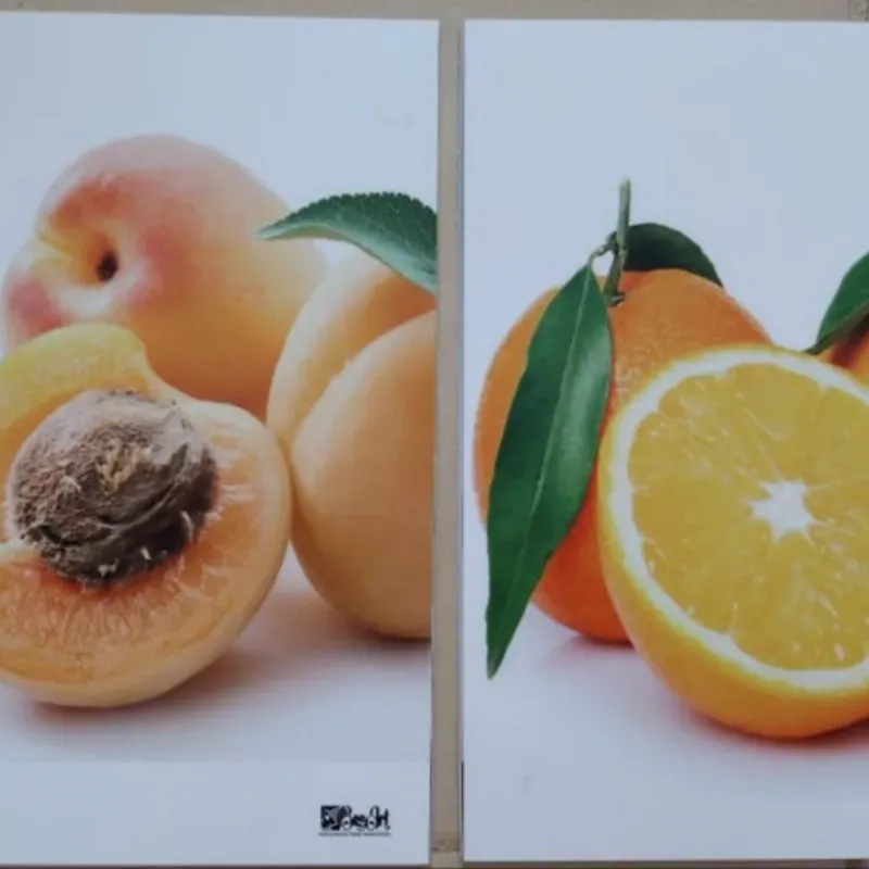 DÚOS DE CUADROS DECORATIVOS 