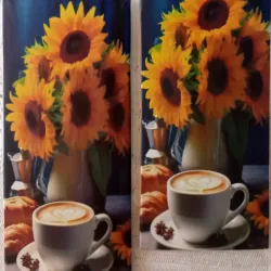 Girasoles y Café 
