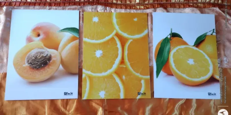 PAREJAS DE CUADROS DECORATIVOS 