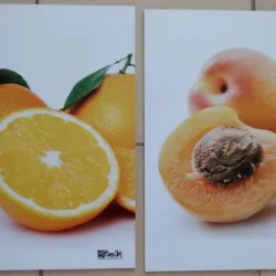 PAREJAS DE CUADROS DECORATIVOS 