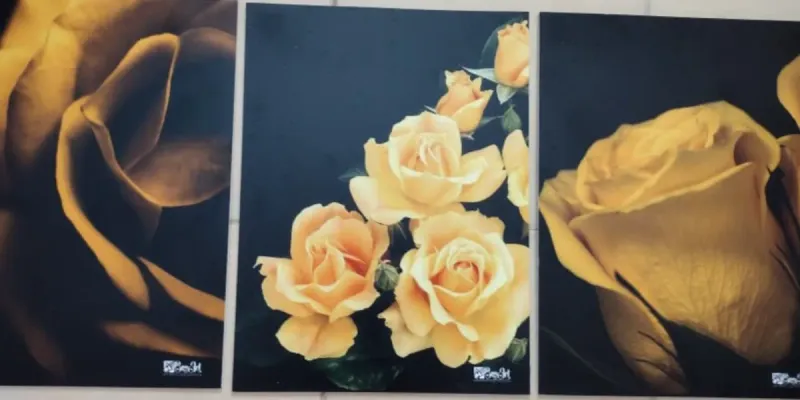 TRIO DE CUADROS DECORATIVOS 