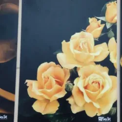 TRIO DE CUADROS DECORATIVOS 