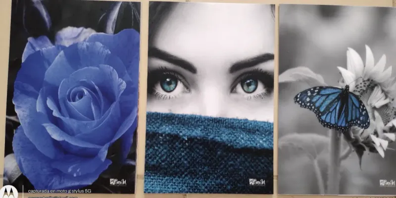 TRÍOS DE CUADROS DECORATIVOS 