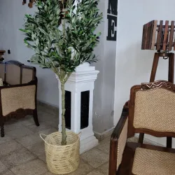 Cestos