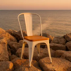 Silla Industrial TOLIX _ con asiento de madera  