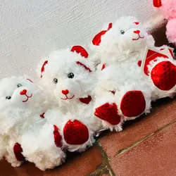 Peluchito Blanco y Rojo 