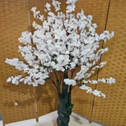 Árbol de cerezo blanco