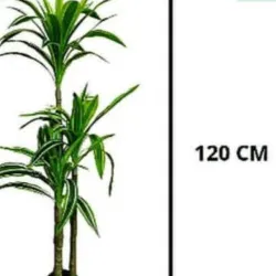 Dracaena planta artificial