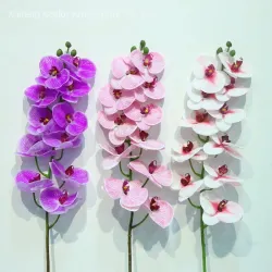 Espiga de orquídeas