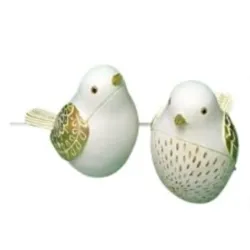 Pareja palomas