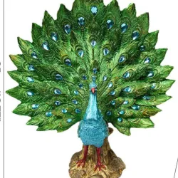 Pavo real