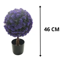 Planta