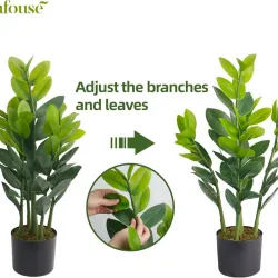 Planta
